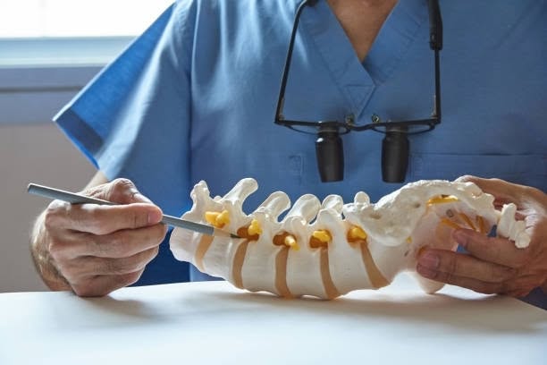 Medical professional in scrubs pointing to a spinal column anatomical model with a pen